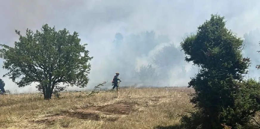 Φωτιά στο Δρέπανο Κοζάνης: Επιχειρούν ισχυρές δυνάμεις – Μήνυμα του 112 στους κατοίκους ΒΙΝΤΕΟ Φωτιά στο Δρέπανο Κοζάνης: Επιχειρούν ισχυρές δυνάμεις – Μήνυμα του 112 στους κατοίκους ΒΙΝΤΕΟ
