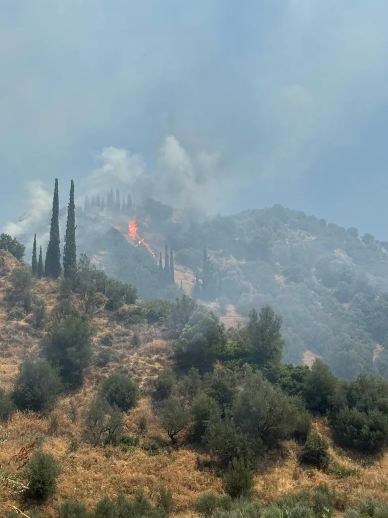 Νεραντζιές Αιγίου: Ποια η εικόνα της φωτιάς, συνεχίζονται οι επιχειρήσεις ΦΩΤΟ ΝΕΟΤΕΡΑ