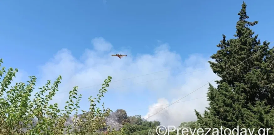 Μονολίθι Πρέβεζας: Οριοθετήθηκε η φωτιά, ΦΩΤΟ, ΒΙΝΤΕΟ Μονολίθι Πρέβεζας: Οριοθετήθηκε η φωτιά, ΦΩΤΟ, ΒΙΝΤΕΟ