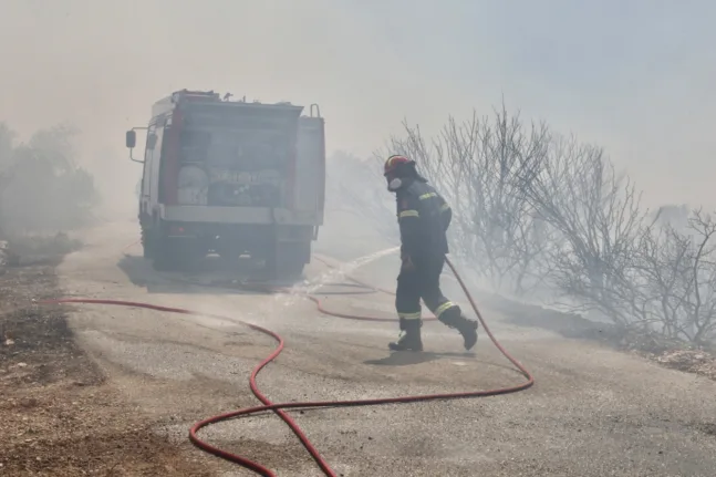 Κρήτη -Φωτιά στη Σητεία: 15 πυροσβέστες και 2 ομάδες δασοκομάντο στη μάχη με τις φλόγες