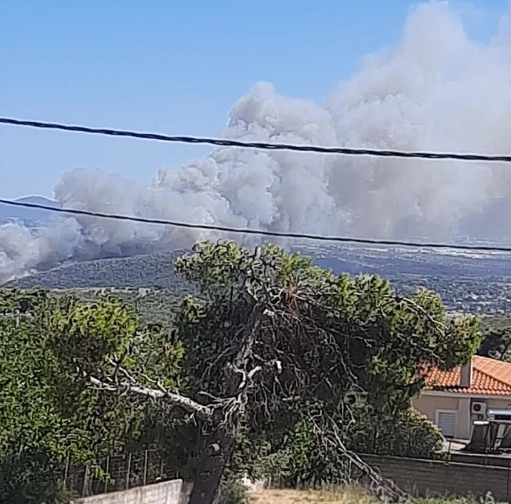 Σε ύφεση η φωτιά στη Ραφήνα: Καταστροφές σε σπίτια και 57 απεγκλωβισμοί σε Ραφήνα και Σπάτα, σε επιφυλακή για αναζωπυρώσεις ΦΩΤΟ