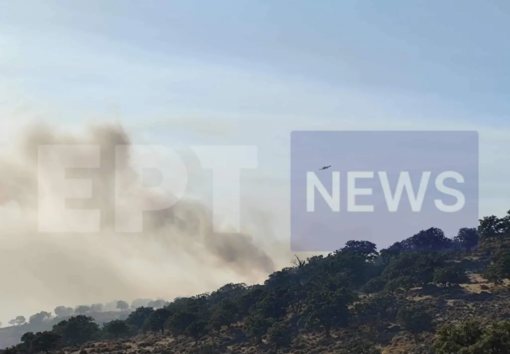 Πύρινος εφιάλτης στο Σκαλοχώρι Λέσβου: Επιχειρούν επίγειες και εναέριες δυνάμεις ΦΩΤΟ