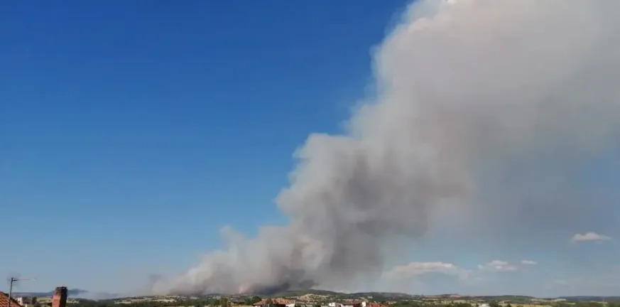 Θεσσαλονίκη: Φωτιά στην περιοχή της Ασσήρου