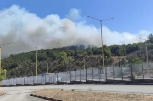Πέρασε στην Ελλάδα η φωτιά στην Κακαβιά! ΒΙΝΤΕΟ