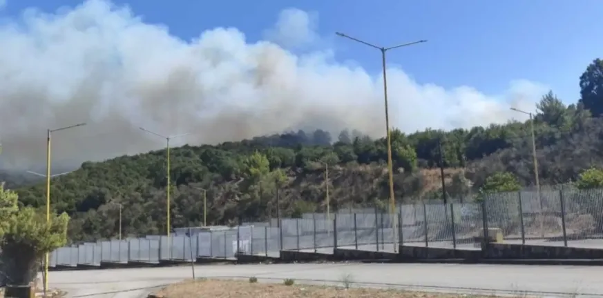 Πέρασε στην Ελλάδα η φωτιά στην Κακαβιά! ΒΙΝΤΕΟ