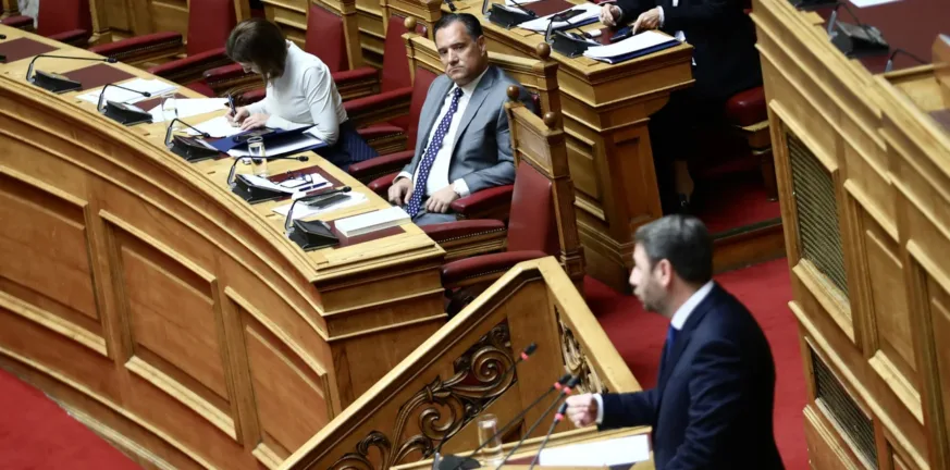 Σφοδρή σύγκρουση Ανδρουλάκη-Γεωργιάδη για τον ΟΠΕΚΕΠΕ: «Σας πιάσανε με τη γίδα στην πλάτη»