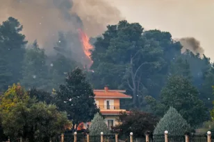 Αμαλιάδα: Μεγάλη φωτιά στο Γεράκι, σηκώθηκαν και εναέρια μέσα