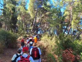 Η Πάτρα σε «συναγερμό» για «πολύ υψηλό κίνδυνο πυρκαγιάς» την Πέμπτη - Πού απαγορεύεται η κυκλοφορία