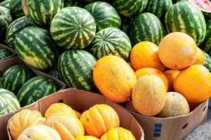 Ποιο είναι καλύτερο για τη δίαιτα και το σάκχαρο καρπούζι ή πεπόνι