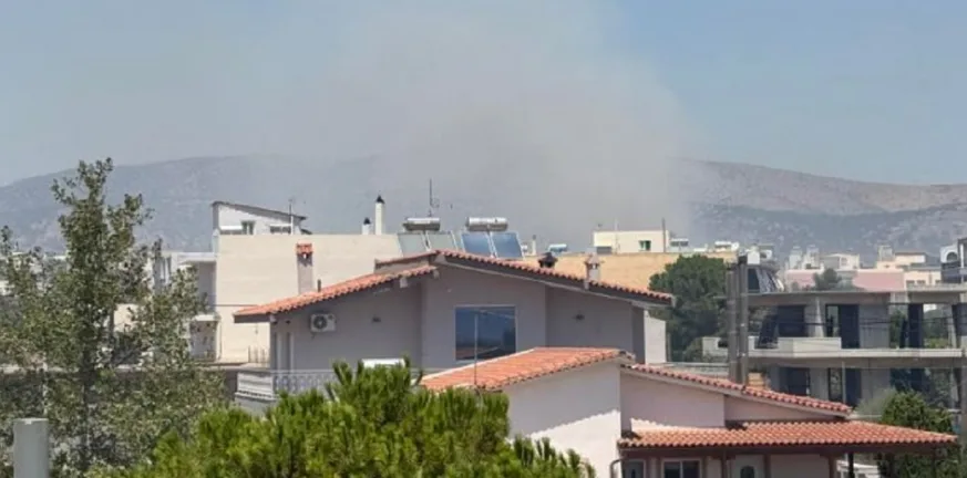 Φωτιά στη Μαγούλα Αττικής: Σε ξερά χόρτα η εστία – Στο σημείο 25 Πυροσβέστες ΦΩΤΟ-ΒΙΝΤΕΟ