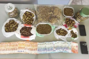 Ναρκωτικά σε διαδρομή τριών σταθμών: Από την Αθήνα στο Αγρίνιο μέσω Ναυπάκτου – Τρεις συλλήψεις ΦΩΤΟ