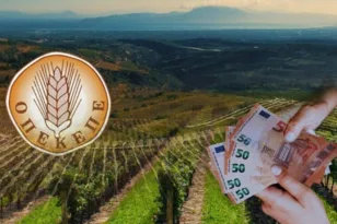 Ευρωπαϊκή Εισαγγελία: Στο μικροσκόπιο παράνομες επιδοτήσειςγια ελαιόδενδρα και μελισσοκομία