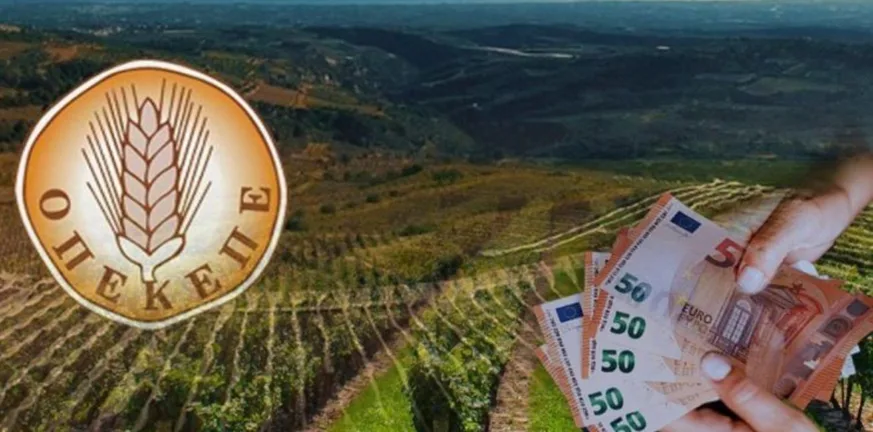 Ευρωπαϊκή Εισαγγελία: Στο μικροσκόπιο παράνομες επιδοτήσεις για ελαιόδενδρα και μελισσοκομία Ευρωπαϊκή Εισαγγελία: Στο μικροσκόπιο παράνομες επιδοτήσεις για ελαιόδενδρα και μελισσοκομία