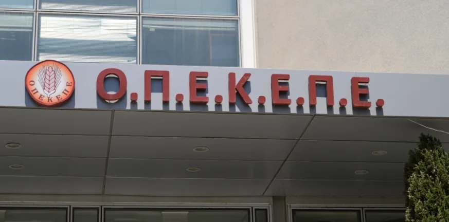 Ονόματα και...διευθύνσεις για «αμαρτωλά» ΑΦΜ που εισέπραξαν παράνομες -θηριώδεις- επιδοτήσεις από τον ΟΠΕΚΕΠΕ Ονόματα και...διευθύνσεις για «αμαρτωλά» ΑΦΜ που εισέπραξαν παράνομες -θηριώδεις- επιδοτήσεις από τον ΟΠΕΚΕΠΕ