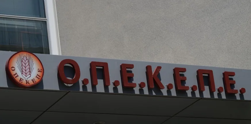 Δεύτερη μέρα ερευνών στον ΟΠΕΚΕΠΕ – Σαρώνουν τα ψηφιακά αρχεία Δεύτερη μέρα ερευνών στον ΟΠΕΚΕΠΕ – Σαρώνουν τα ψηφιακά αρχεία