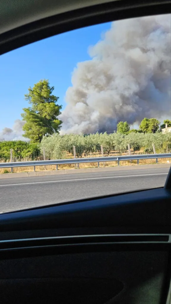 Φλόγες έχουν «ζώσει» τον Ωρωπό, μεγάλη η μάχη, μεγάλος και ο κίνδυνος! ΒΙΝΤΕΟ, ΦΩΤΟ