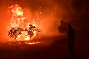 Πύρινη κόλαση στον Ωρωπό, φλόγες ύψους 30 μέτρων! ΦΩΤΟ