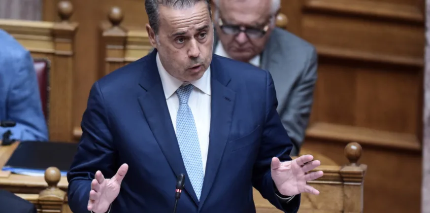 Παπασταύρου: «Ο Σημανδράκος μόνος του υπεύθυνος για τις πληρωμές στον ΟΠΕΚΕΠΕ»