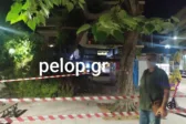 Συναγερμός στην Πλατεία Βουδ, έπεσε δέντρο, στο σημείο ο Αντιδήμαρχος ΦΩΤΟ