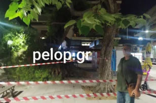 Συναγερμός στην Πλατεία Βουδ, έπεσε δέντρο, στο σημείο ο Αντιδήμαρχος ΦΩΤΟ