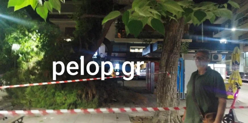 Συναγερμός στην Πλατεία Βουδ, έπεσε δέντρο, στο σημείο ο Αντιδήμαρχος ΦΩΤΟ Συναγερμός στην Πλατεία Βουδ, έπεσε δέντρο, στο σημείο ο Αντιδήμαρχος ΦΩΤΟ