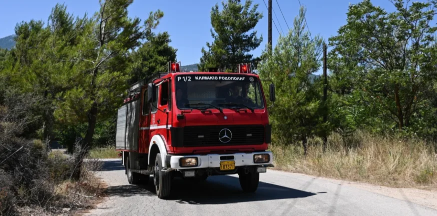 Σε εξέλιξη επιχείρηση διάσωσης γυναίκας στο φαράγγι του Βίκου Σε εξέλιξη επιχείρηση διάσωσης γυναίκας στο φαράγγι του Βίκου