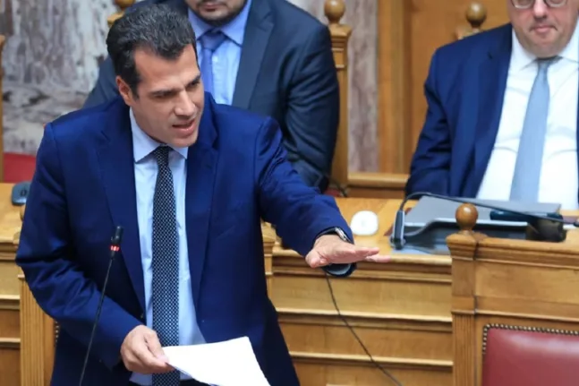 Πλεύρης: «Τέλος το παραμύθι με τις μωρομάνες – Θα προστατεύσουμε την επικράτεια»