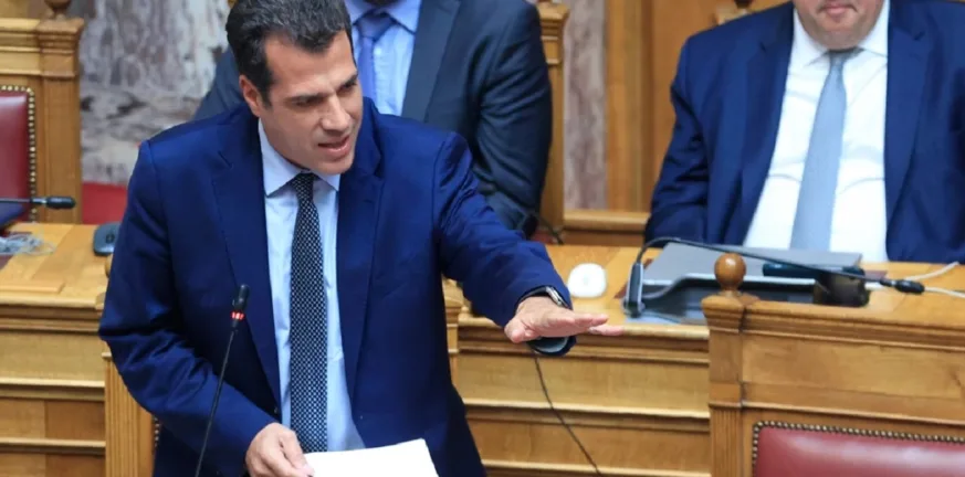 Πλεύρης: «Τέλος το παραμύθι με τις μωρομάνες – Θα προστατεύσουμε την επικράτεια» Πλεύρης: «Τέλος το παραμύθι με τις μωρομάνες – Θα προστατεύσουμε την επικράτεια»