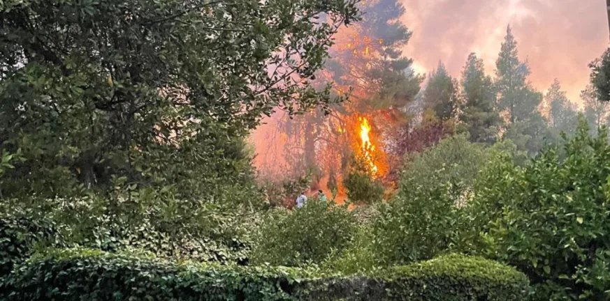 Αποκαλύψεις του δημάρχου Γαλατσίου για τη φωτιά στο Ψυχικό Αποκαλύψεις του δημάρχου Γαλατσίου για τη φωτιά στο Ψυχικό