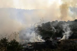 Σε ύφεση η πυρκαγιά στη Μεσσηνία, αποφεύχθηκε ο κίνδυνος για οικισμό τη νύχτα