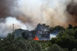 Φωτιά στη Ραφήνα: Κόβει ταχύτητα ο άνεμος, ενισχύονται οι επίγειες και εναέριες δυνάμεις