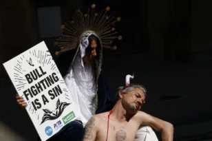 Ισπανία: Ημίγυμνοι ακτιβιστές διαμαρτυρήθηκαν κατά των ταυρομαχιών ΦΩΤΟ