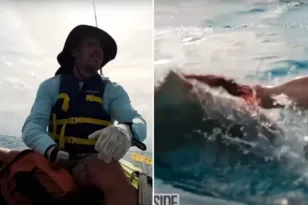 Δύτης επέζησε από επίθεση καρχαρία και εξηγεί τι ΔΕΝ πρέπει να κάνεις σε τέτοια κατάσταση ΒΙΝΤΕΟ