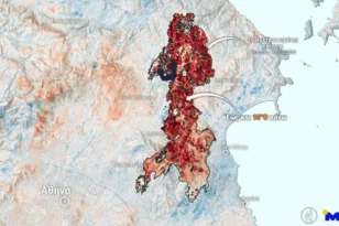 Meteo: Μέχρι και 10°C υψηλότερες θερμοκρασίες έναν χρόνο μετά από πυρκαγιές σε περιοχές