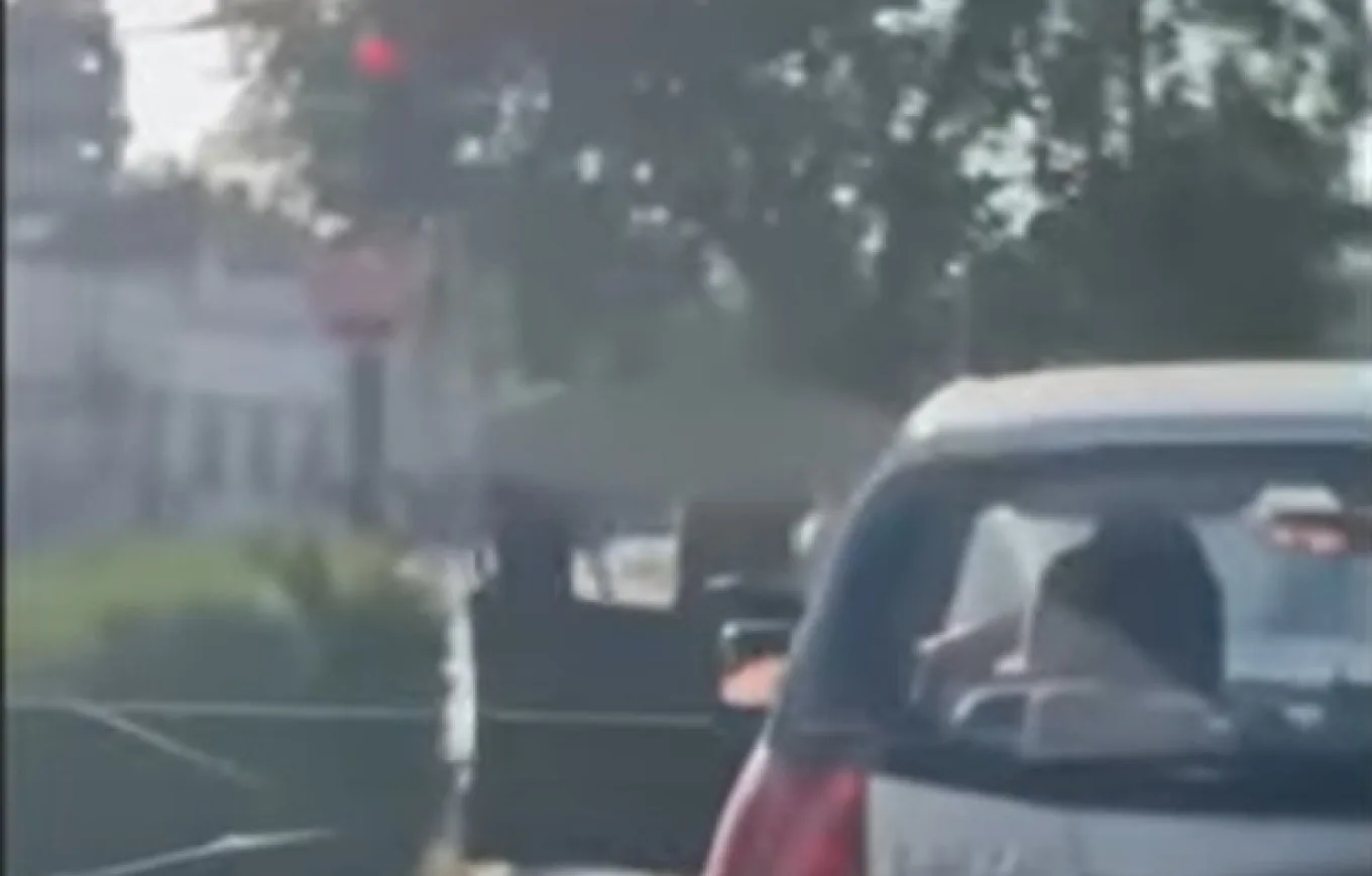 Τρίκαλα: Οδηγός τσακώθηκε με πεζό σε κεντρικό δρόμο ΒΙΝΤΕΟ