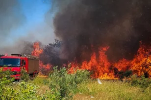 Χωρίς ενεργό μέτωπο η φωτιά στο Αλιβέρι: Εκκένωση δύο οικισμών - Πώς ξεκίνησε η πυρκαγιά