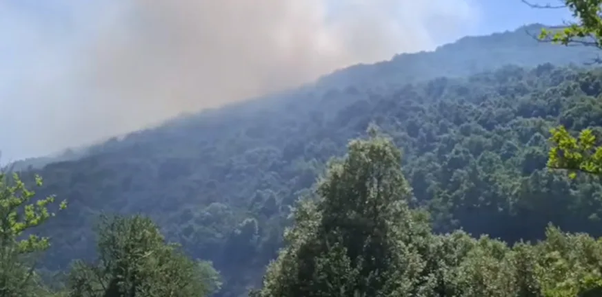 Φωτιά στον Θέρμο σε δασική έκταση: Χωρίς ενεργό μέτωπο η πυρκαγιά ΒΙΝΤΕΟ Φωτιά στον Θέρμο σε δασική έκταση: Χωρίς ενεργό μέτωπο η πυρκαγιά ΒΙΝΤΕΟ
