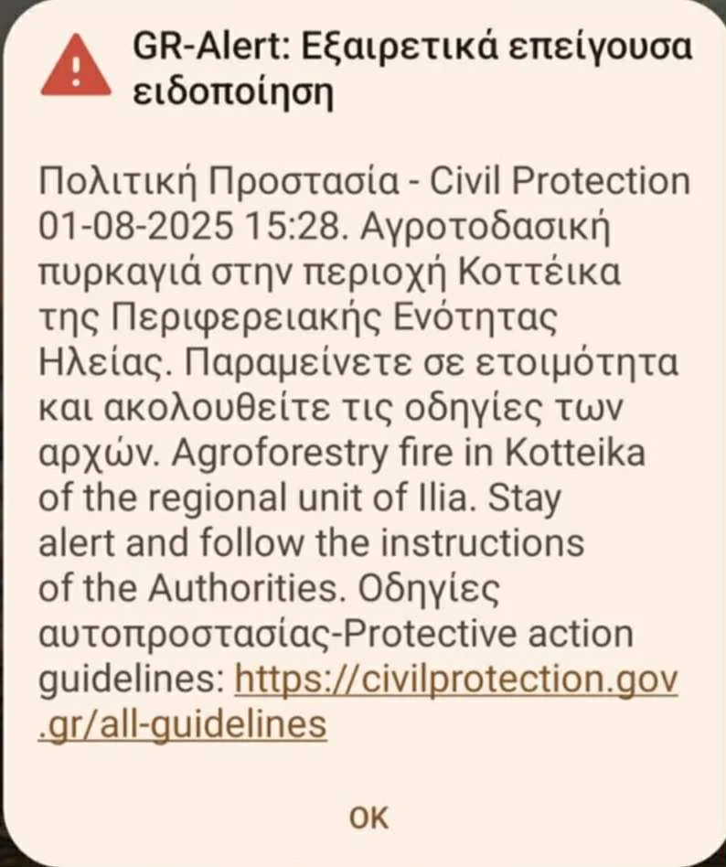 Ηλεία: Ανεξέλεγκτη η μεγάλη φωτιά στα Λεχαινά, ήχησε το 112, ενισχύθηκαν οι πυροσβεστικές δυνάμεις ΝΕΟΤΕΡΑ - ΦΩΤΟ