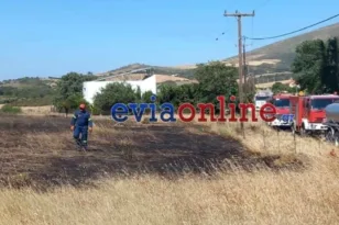 Έρευνα για πρόκληση πυρκαγιών με εμπλοκή 6 ανηλίκων στην Εύβοια