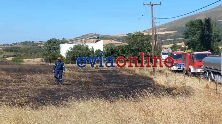 Έρευνα για πρόκληση πυρκαγιών με εμπλοκή 6 ανηλίκων στην Εύβοια Έρευνα για πρόκληση πυρκαγιών με εμπλοκή 6 ανηλίκων στην Εύβοια