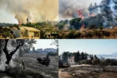 Φωτιά στην Αχαϊα: Eπιστολή διαμαρτυρίας από την ΕΕΤΕΜ Αχαΐας προς τον πρωθυπουργό