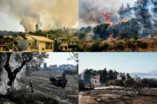 Φωτιά στην Αχαϊα: Eπιστολή διαμαρτυρίας από την ΕΕΤΕΜ Αχαΐας προς τον πρωθυπουργό