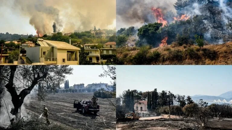 Φωτιά στην Αχαϊα: Eπιστολή διαμαρτυρίας από την ΕΕΤΕΜ Αχαΐας προς τον πρωθυπουργό