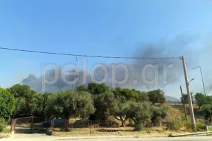 Πάτρα: Φωτιά ανάμεσα σε Αγιο Βασίλειο και Πλατάνι – Κάηκαν και θερμοκήπια ΒΙΝΤΕΟ