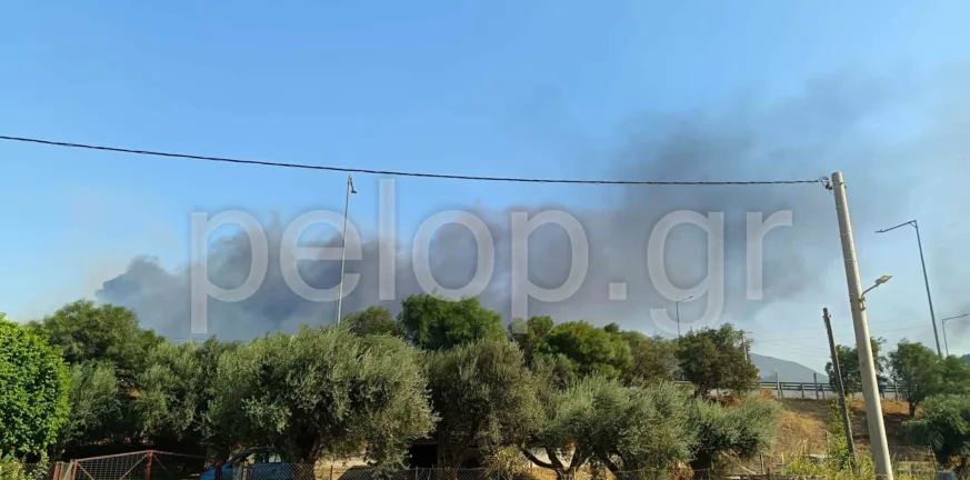Πάτρα: Φωτιά ανάμεσα σε Αγιο Βασίλειο και Πλατάνι - Ηχησε το 112 - Κάηκαν και θερμοκήπια ΒΙΝΤΕΟ