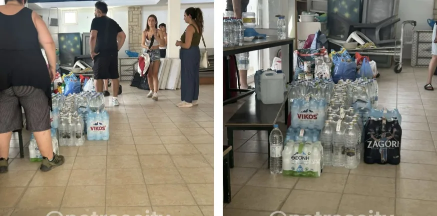 Πάτρα: Μεταφέρονται ζώα από τα Μοιραίικα - Ζητούνται θελοντές στην Πλάζ