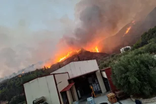 Έκκληση επιχειρηματία στην Πάτρα: «Η φωτιά πλησιάζει τόνους αλκοόλης στο Ρωμανό – Δεν υπάρχει πυροσβεστική»