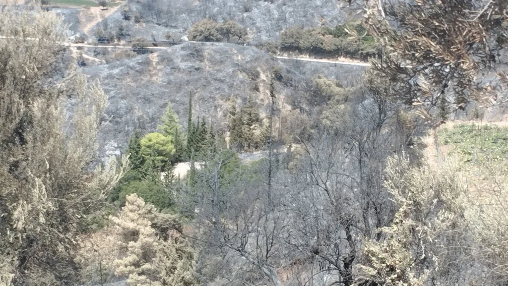 Πάτρα: Έκκληση του Πολιτιστικού Συλλόγου Μπάλλα για στήριξη μετά τις πυρκαγιές