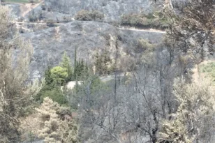 Δημοκρατική Κίνηση Οικονομολόγων: Προτάσεις για την ουσιαστική οικονομική στήριξη των πληγέντων από τις πυρκαγιές στην Περιφέρεια Δυτ. Ελλάδας