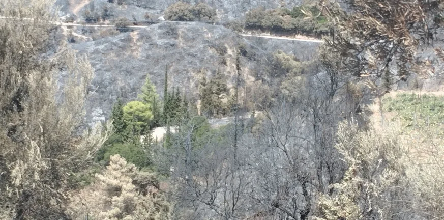Δημοκρατική Κίνηση Οικονομολόγων: Προτάσεις για την ουσιαστική οικονομική στήριξη των πληγέντων από τις πυρκαγιές στην Περιφέρεια Δυτ. Ελλάδας